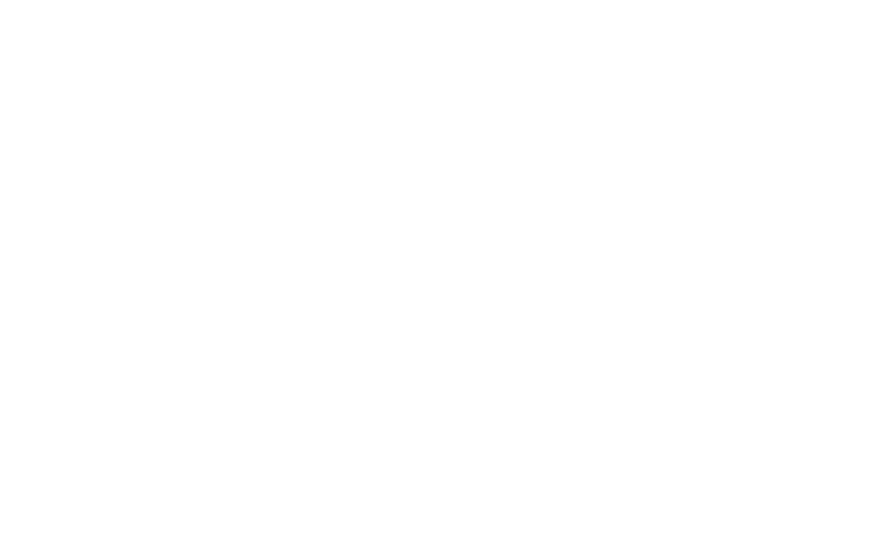 HAVEL & PARTNERS