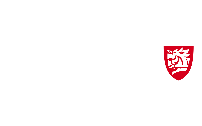 Warhorse Studios